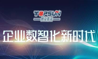 TOPSUN助力企业开启数 “智” 化时代